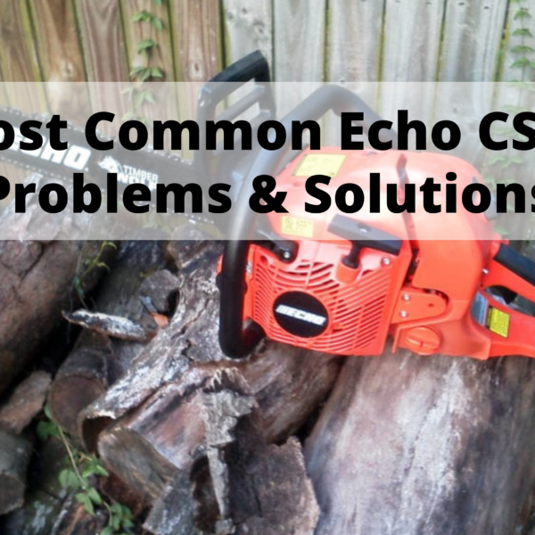 echo cs 590 problems
