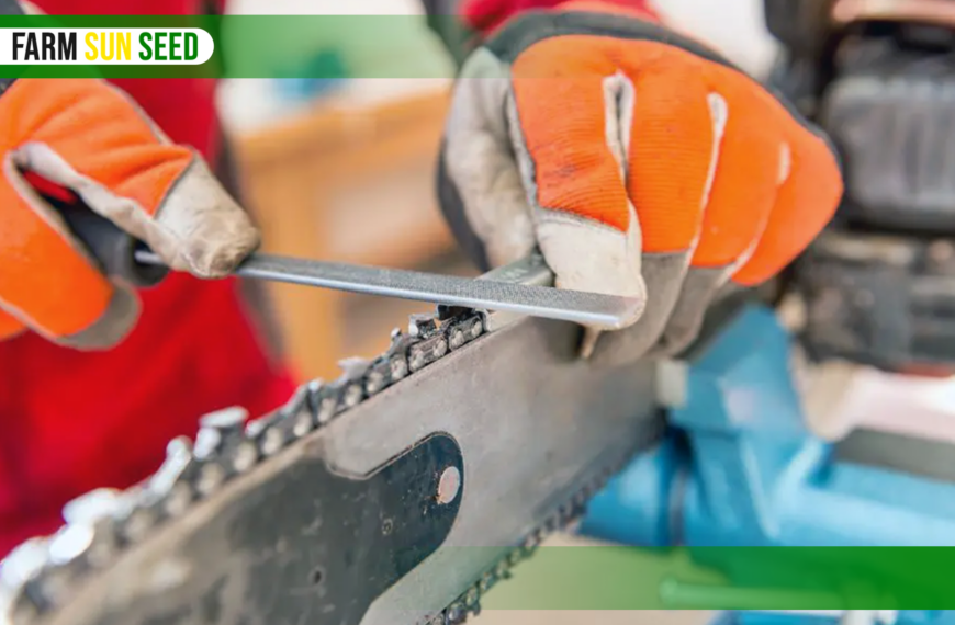 How Long Does a Chainsaw Chain Last: All You Need to Know