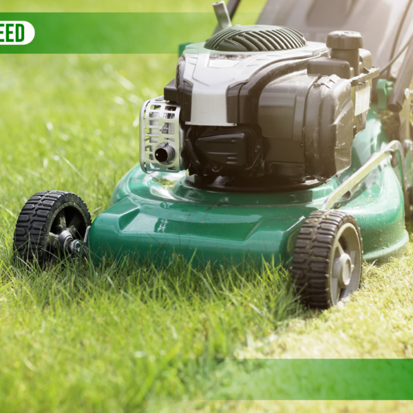 Lawn Mower Died While Mowing And Won’t Start: 5 Easy Fixies