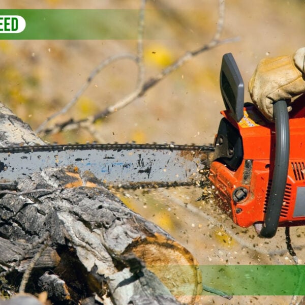 The 5 Best Chainsaw Chains of 2024