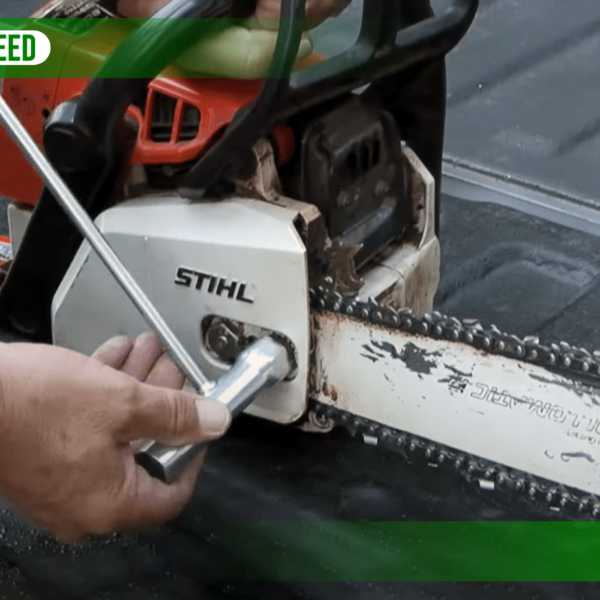 Are Chainsaw Bars Interchangeable