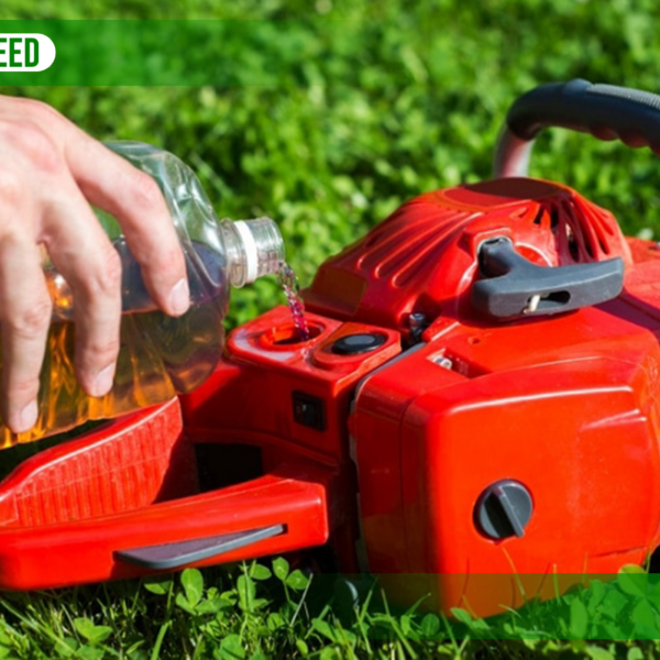 How to Oil a Chainsaw