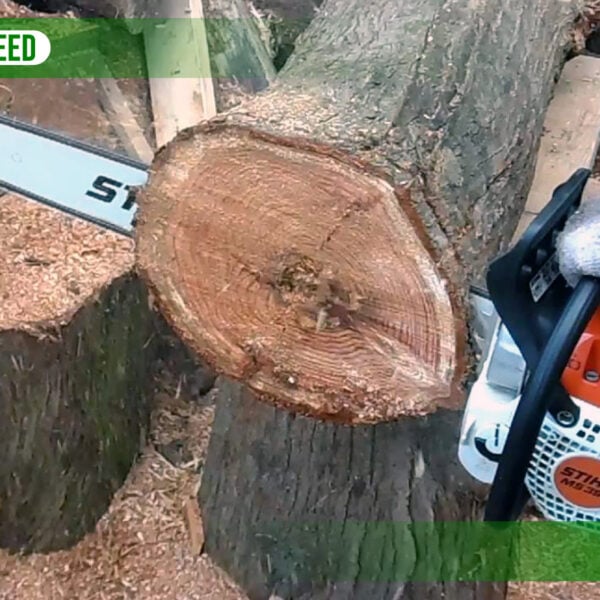 Stihl MS 391 Review