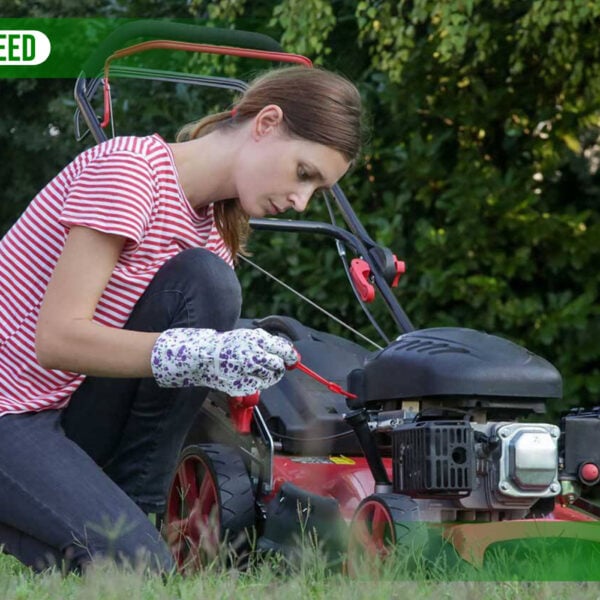 Lawn Mower Won't Start