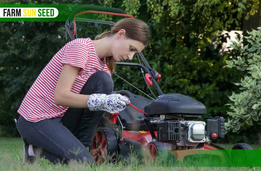 Lawn Mower Won't Start