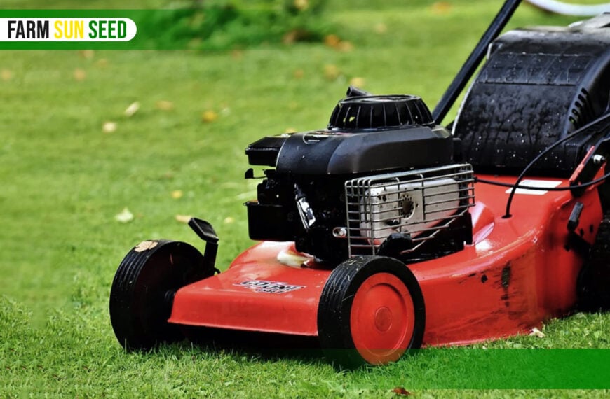 Lawnmower Starts Then Stops