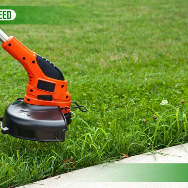 Weedeater Won't Stay Running