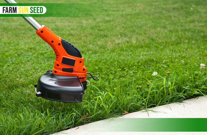 Weedeater Won't Stay Running