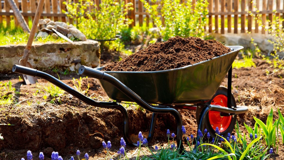 garden-wheelbarrow-with-dirt