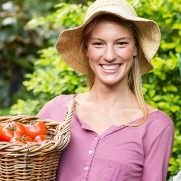 Top Gardening Tips to Transform Your Backyard: Expert Advice for a Beautiful Outdoor Space