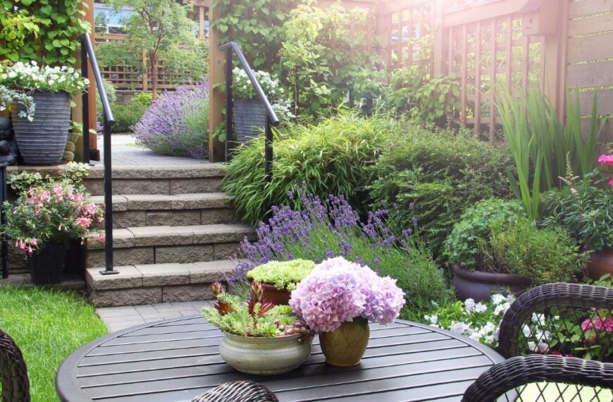 15 Insanely Easy Ideas to Supercharge Your Mini Lawn (Try These Before Summer Ends!)