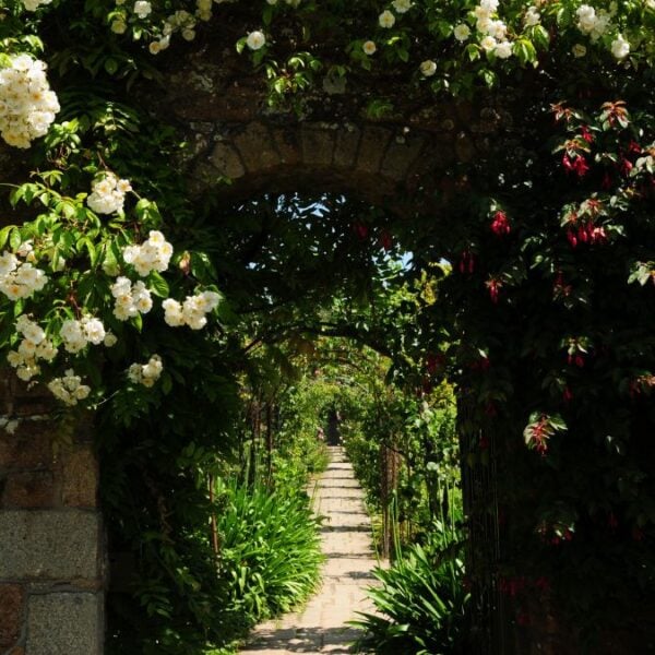 28 Magical Secret Garden Ideas for Creating Private Backyard Sanctuaries