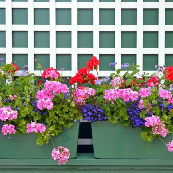 32 Fence Planters
