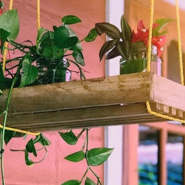 30 Cheap DIY Plant Stand Ideas For Beginners (Creative & Budget Friendly)