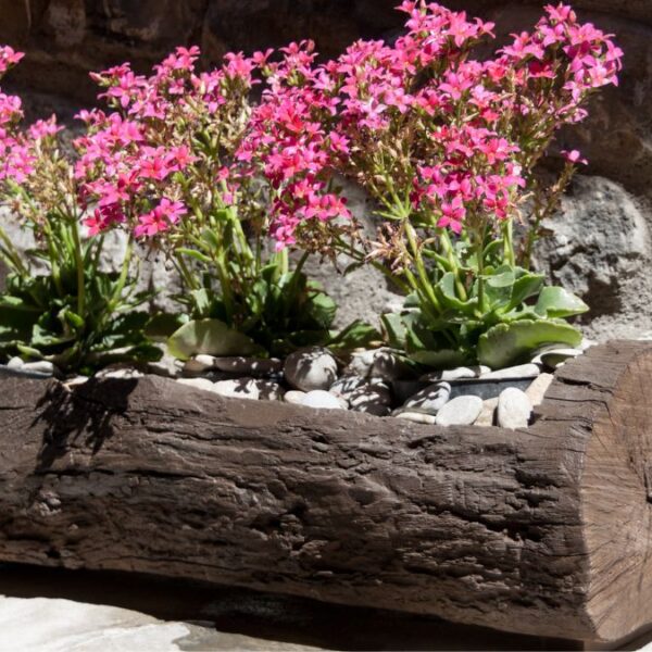 15 Eco-Friendly Planters That Rot Fast (And 13 Durable Designs)
