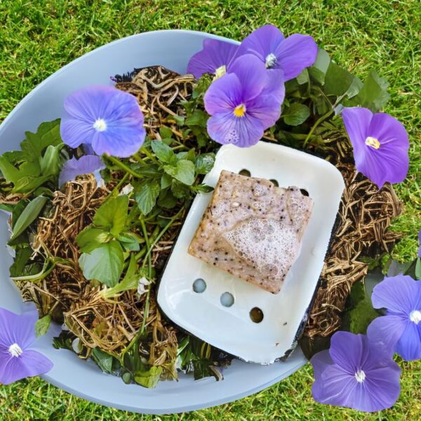 30 Surprising Reasons You Should Put A Bar Of Soap In Your Garden