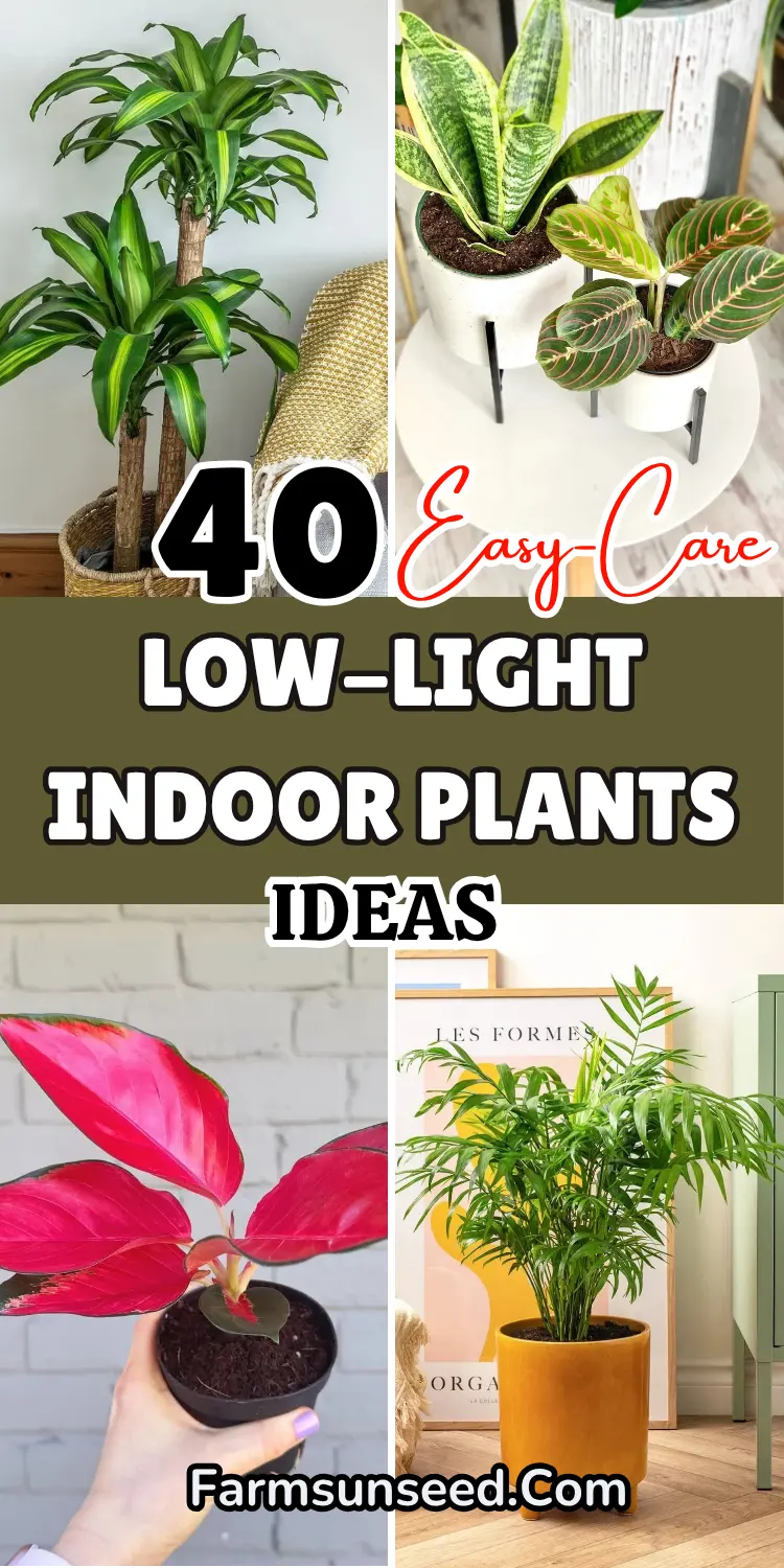 40-Easy-Care-Low-Light-Indoor-Plants-for-Dark-Corners-1 40 Easy-Care Low-Light Indoor Plants for Dark Corners
