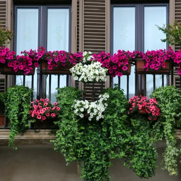 Balcony Garden Ideas