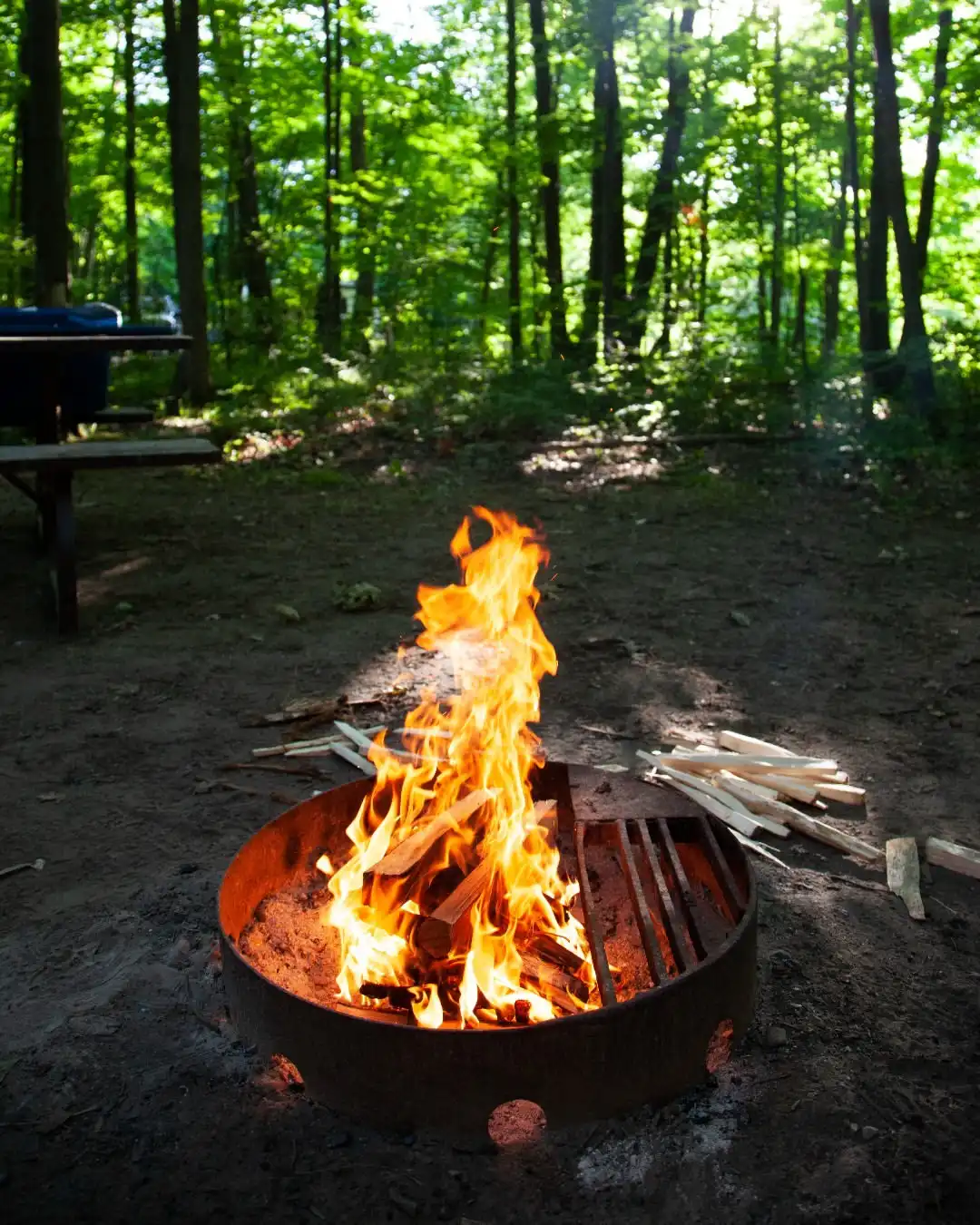 Woodland Camping Fire Ring Paradise