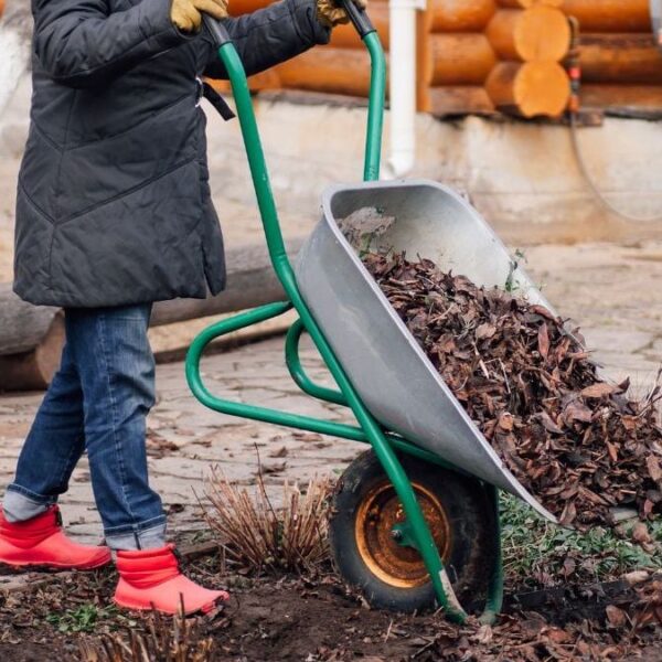16 Creative Ways to Use Fall Leaves in Your Garden