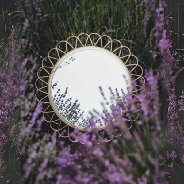 30 Genius Garden Mirror Ideas For Backyards