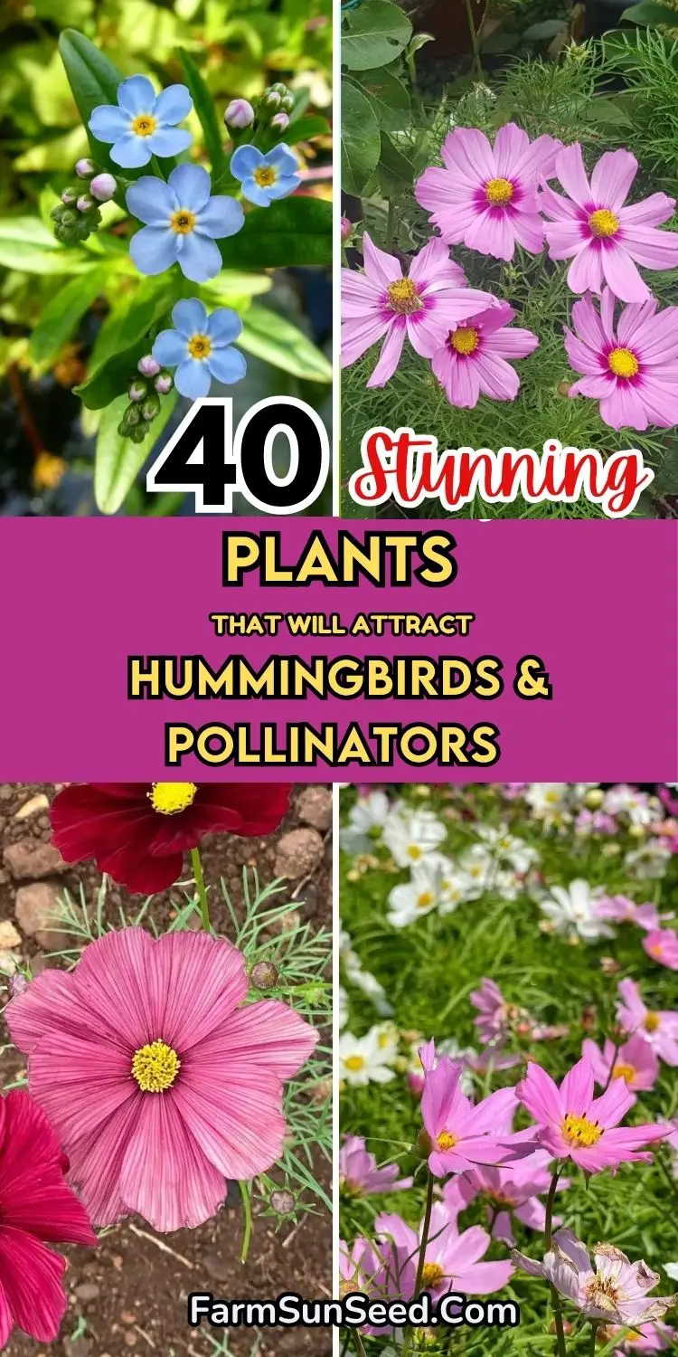 40 Stunning Plants That Will Instantly Attract Hummingbirds & Pollinators to Your Yard 40 Stunning Plants That Will Instantly Attract Hummingbirds & Pollinators to Your Yard