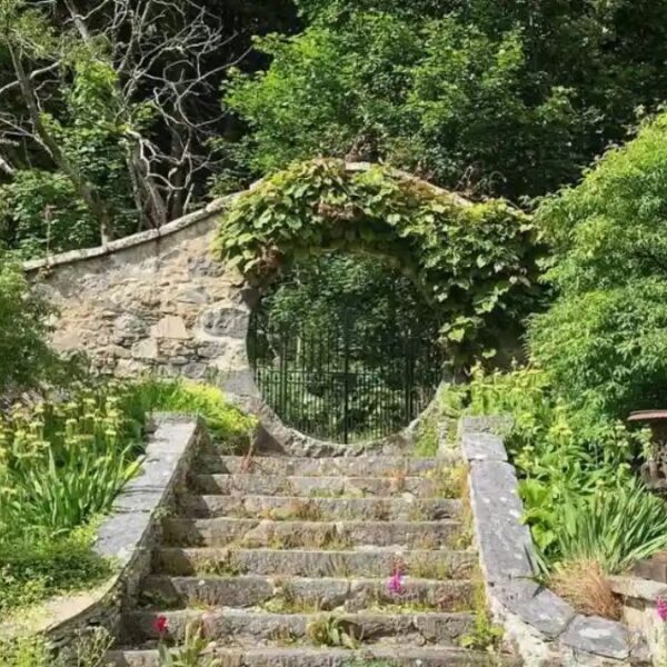 DIY Garden Moon Gate Ideas