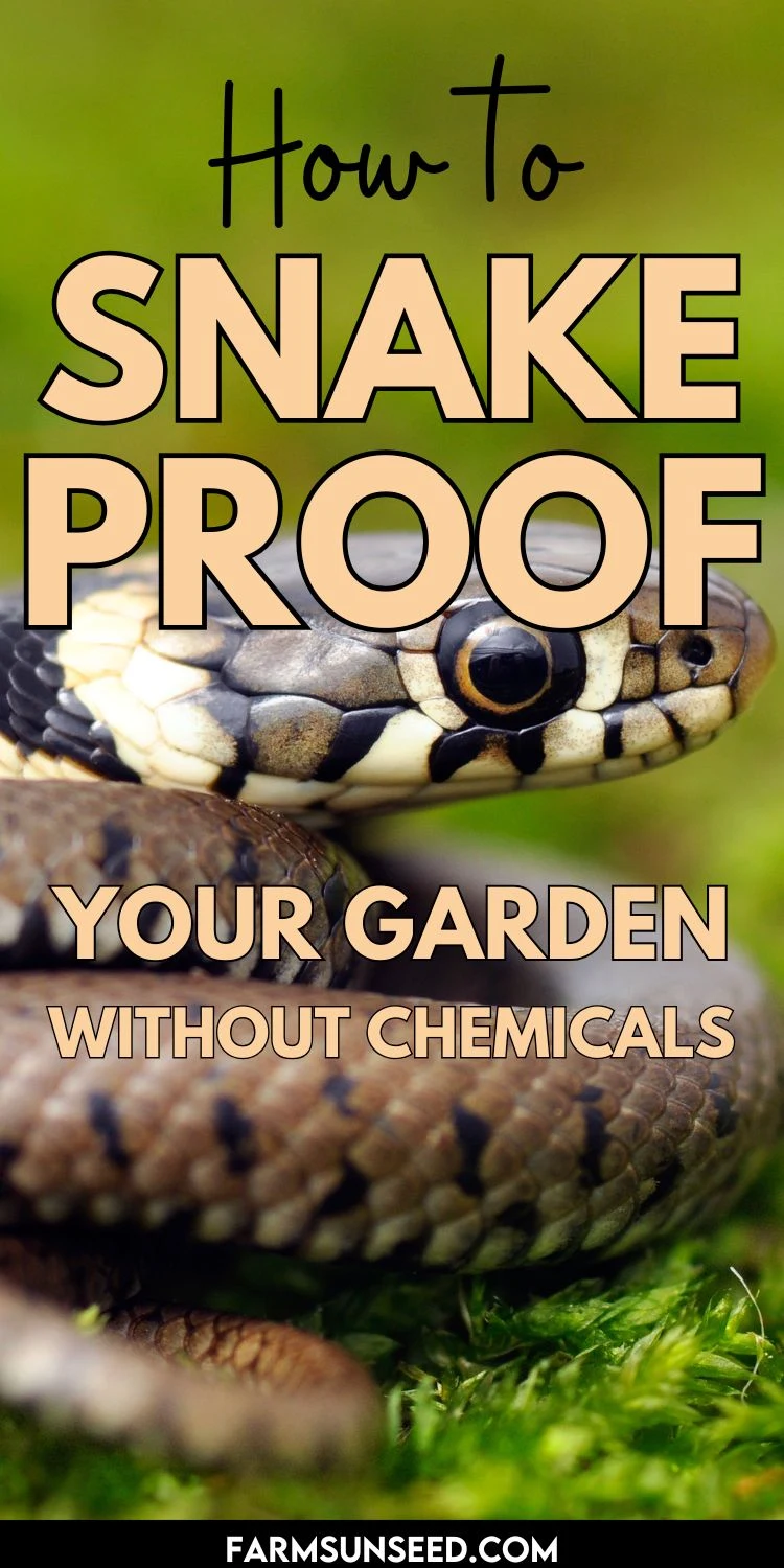 How to Snake-Proof Your Garden Without Chemicals How to Snake-Proof Your Garden Without Chemicals