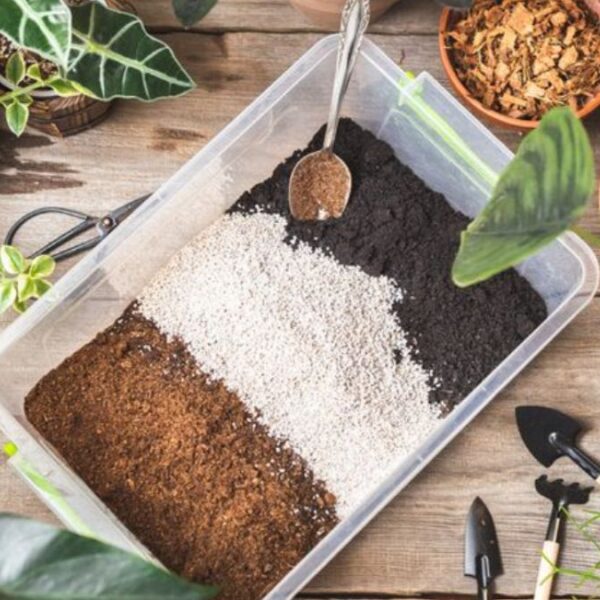 Perfect Soil Mixes for Every Indoor Plant The Only Guide You'll Ever Need