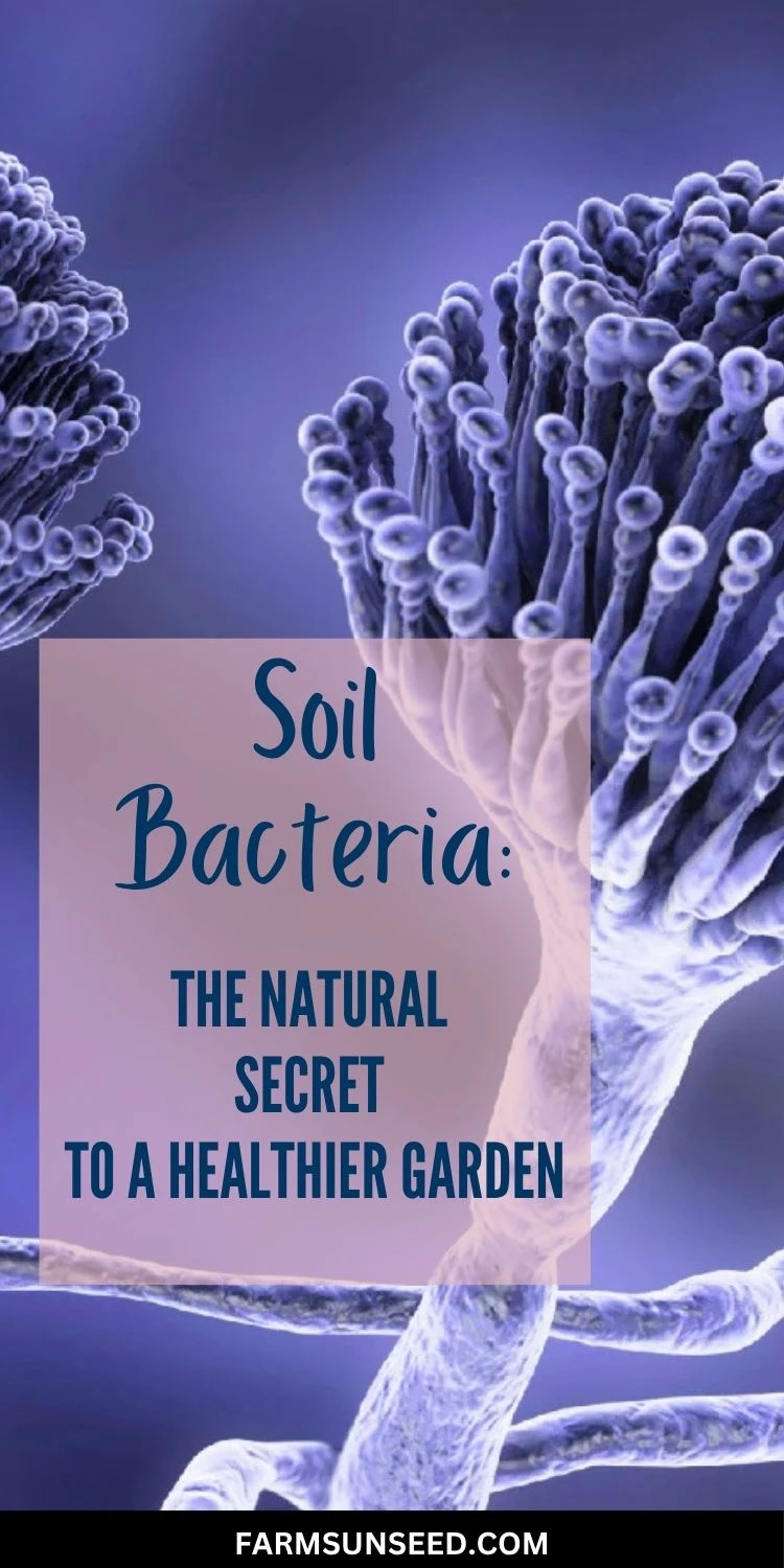 Soil Bacteria The Natural Secret to a Healthier Garden Soil Bacteria The Natural Secret to a Healthier Garden