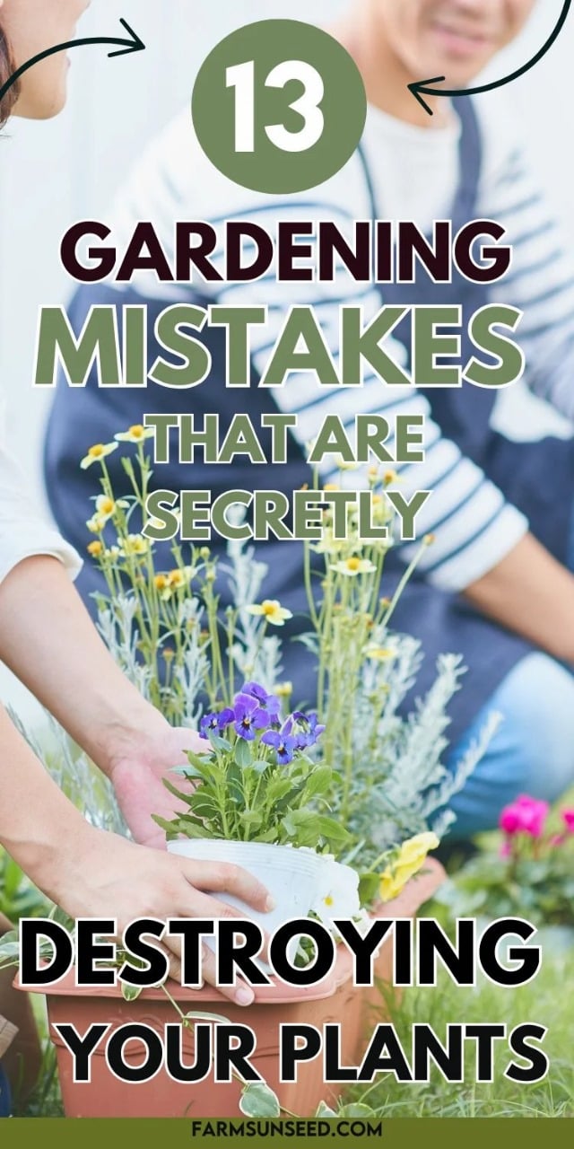 13 Gardening Mistakes That Are Secretly Destroying Your Plants (And Costing You Hundreds)