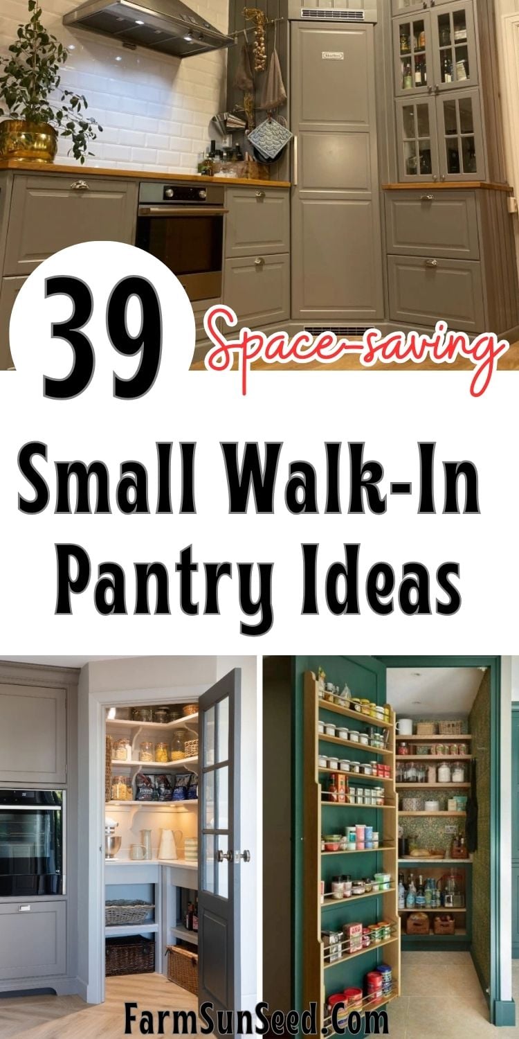 39-Space-saving-Small-Walk-In-Pantry-Ideas-That-Maximize-Every-Inch-of-Space-2 39 Space-saving Small Walk-In Pantry Ideas That Maximize Every Inch of Space