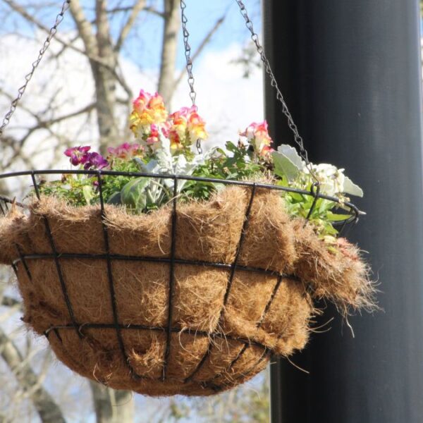 40 Floral Hanging Basket Ideas That’ll Upgrade Your Entire Home