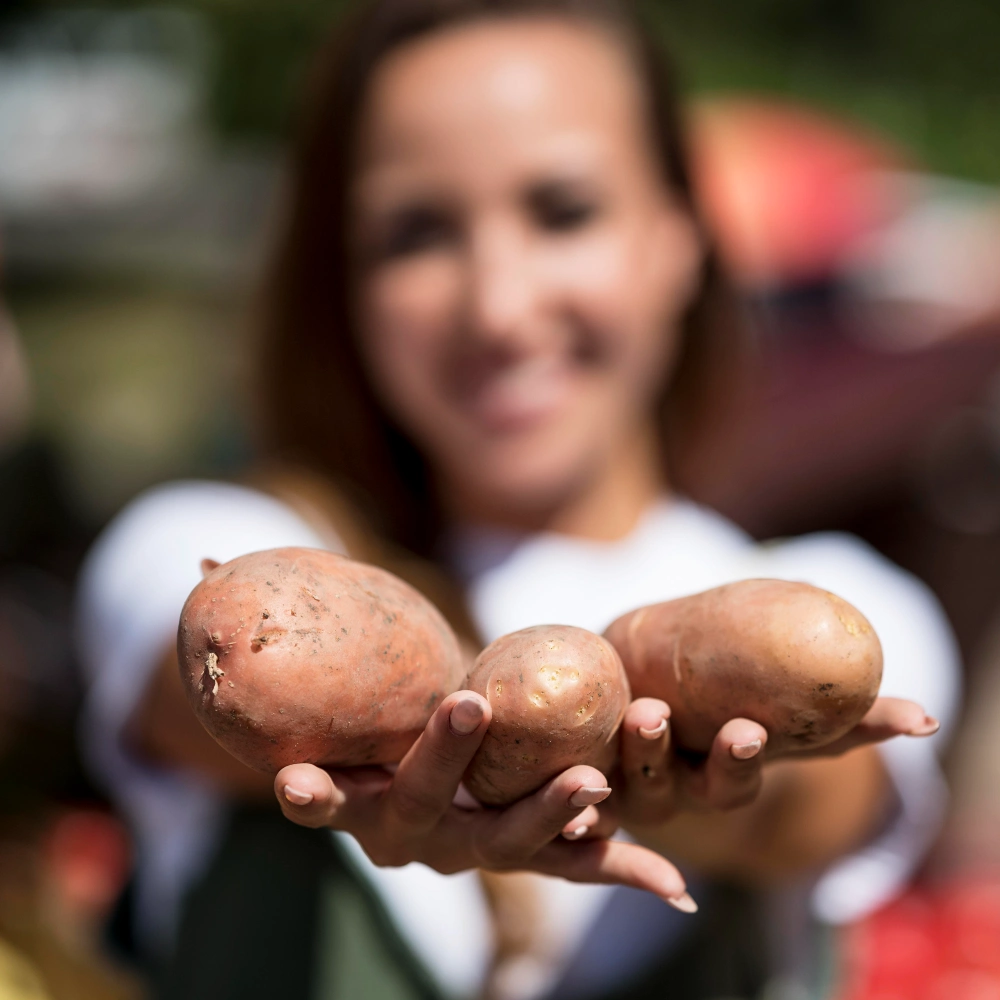 6 Clear Signs Your Potatoes Are Ready to Harvest
