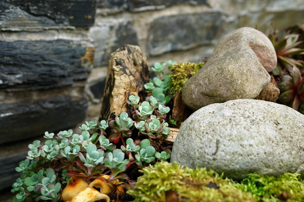 Design & Material Missteps