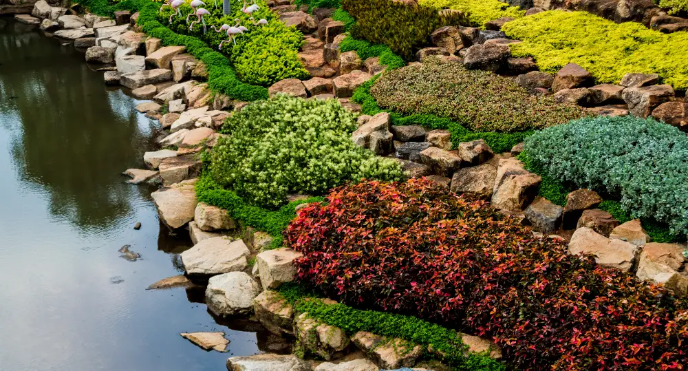 Natural Landscaping Positioning