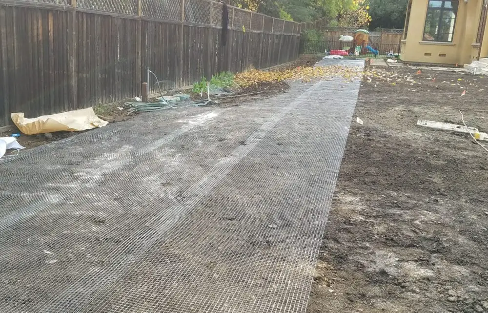 How to Prevent and Remove Gophers from Yards and Gardens