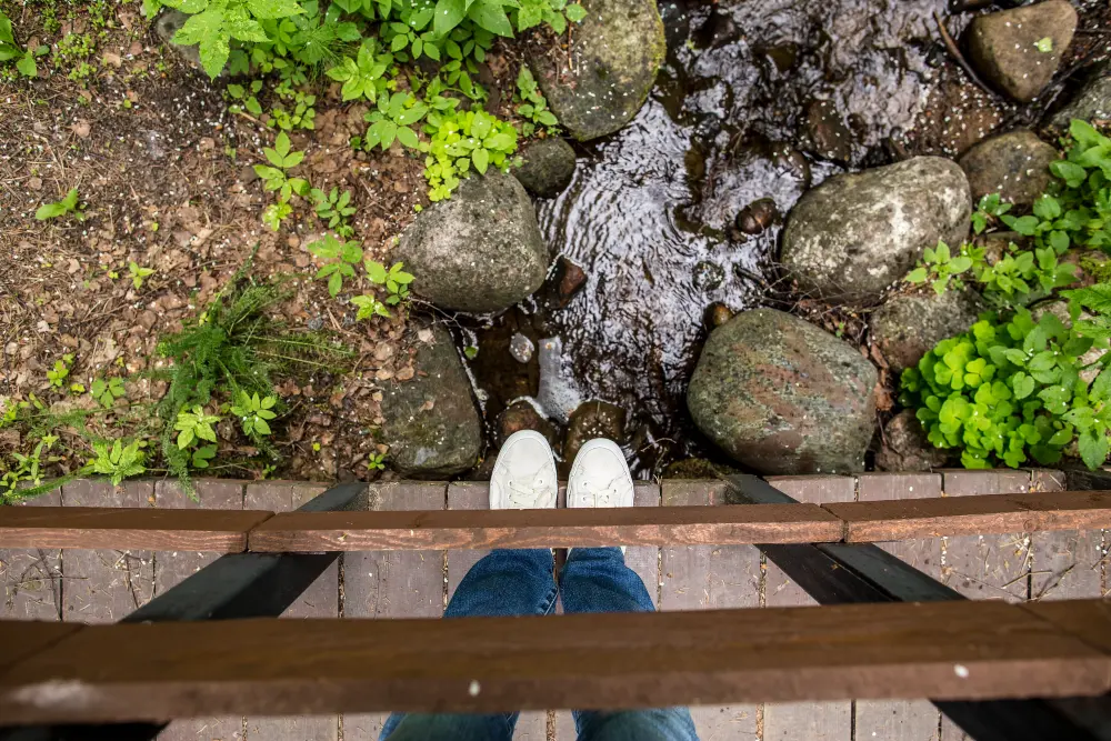 Step 2: Create Proper Drainage