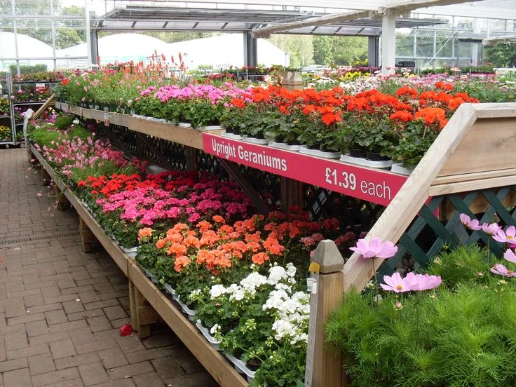 Strategic Shopping Approach