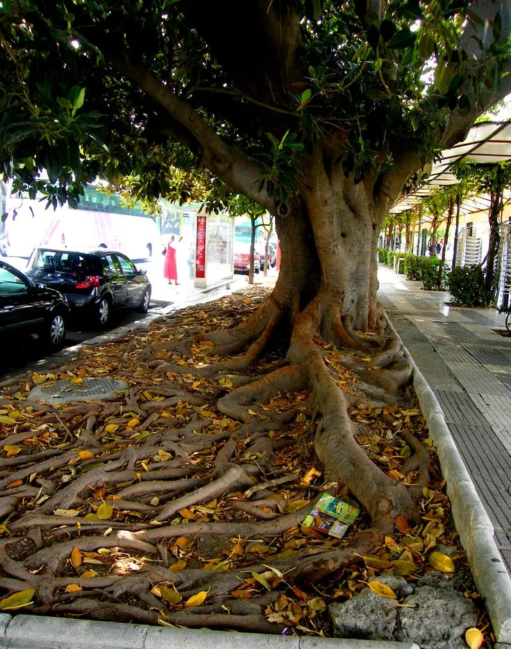 Stress and Replacement Costs