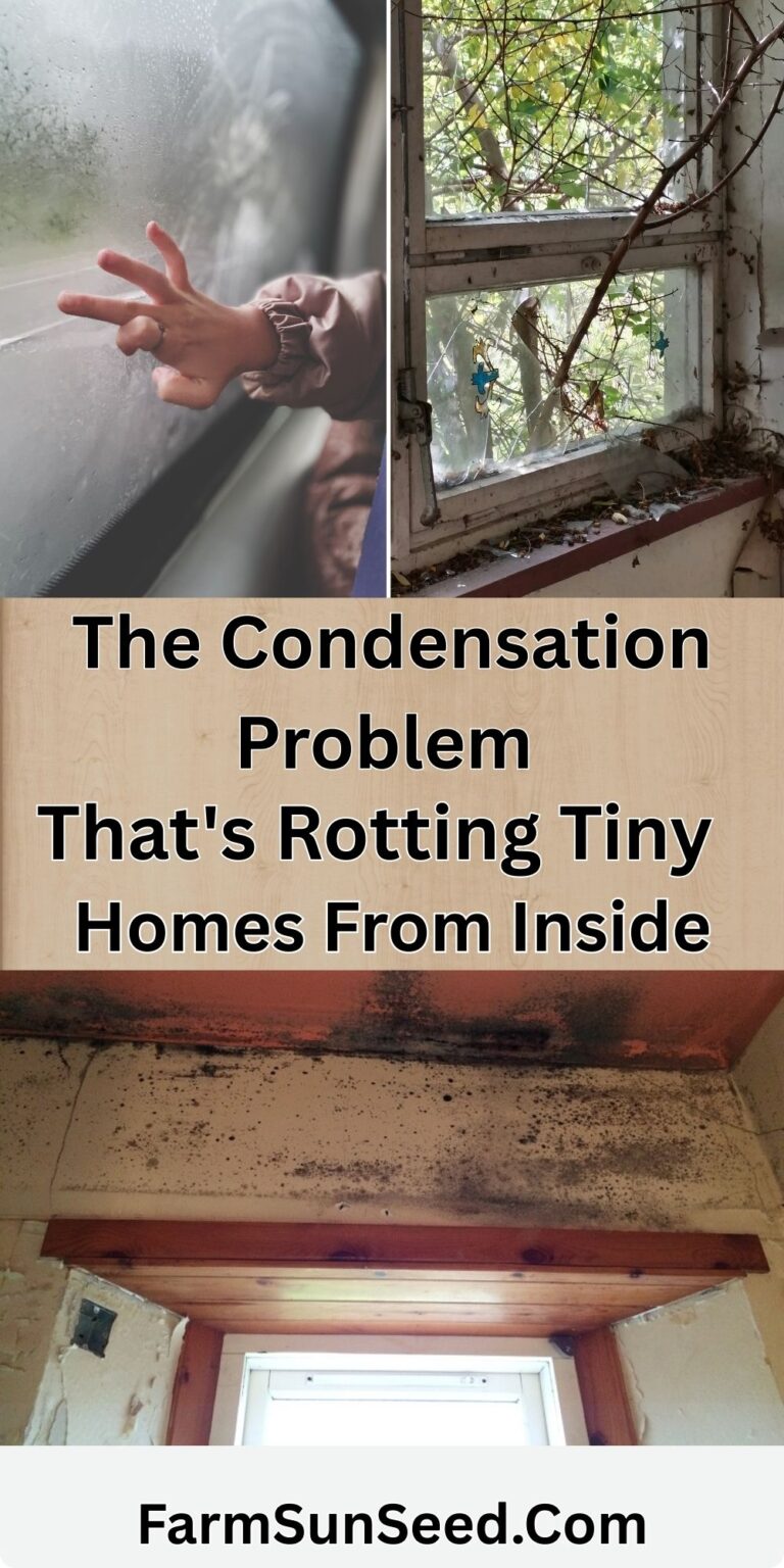 The Condensation Problem That's Rotting Tiny Homes From Inside