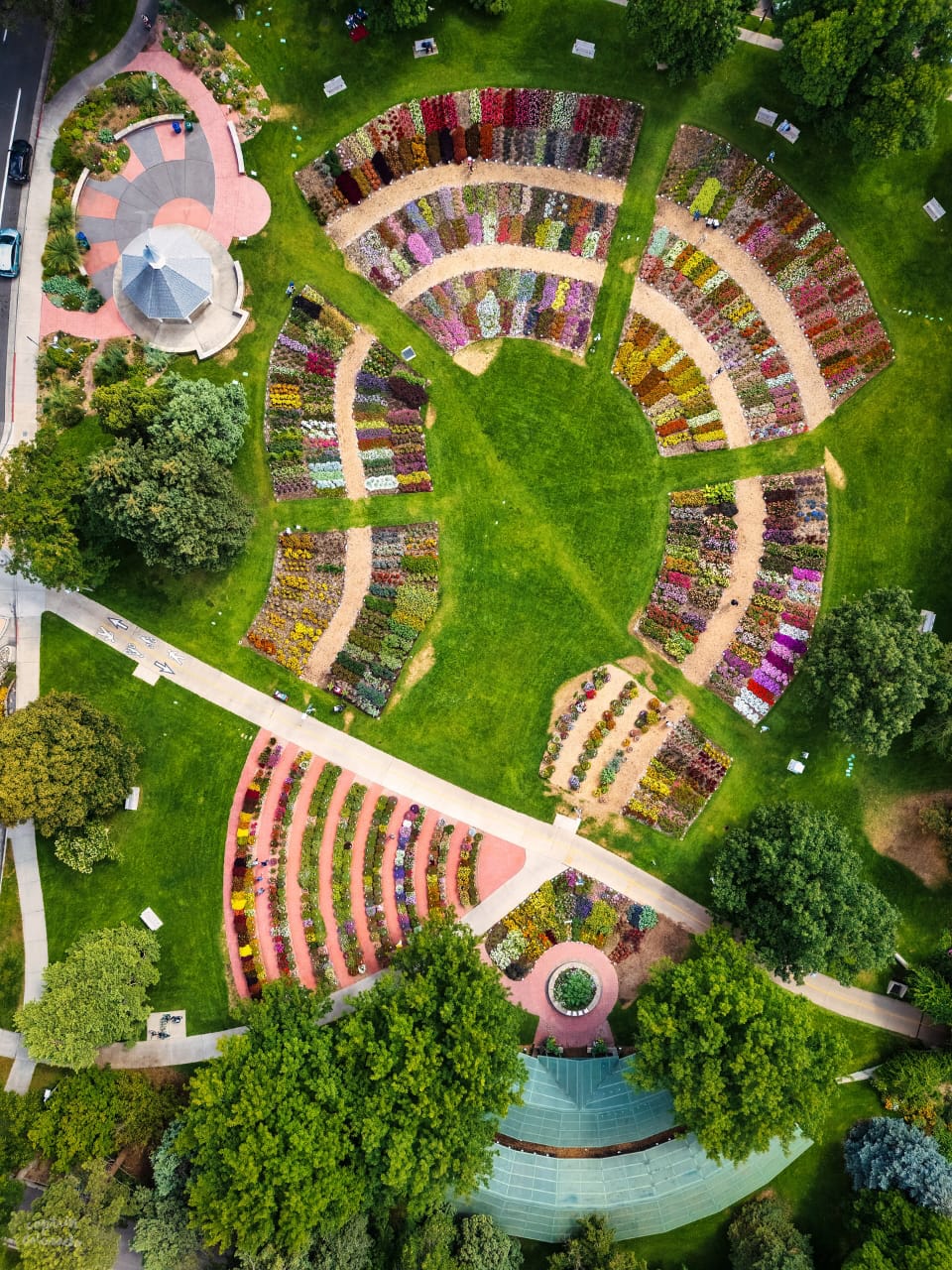 The Instagram Gardening Phenomenon