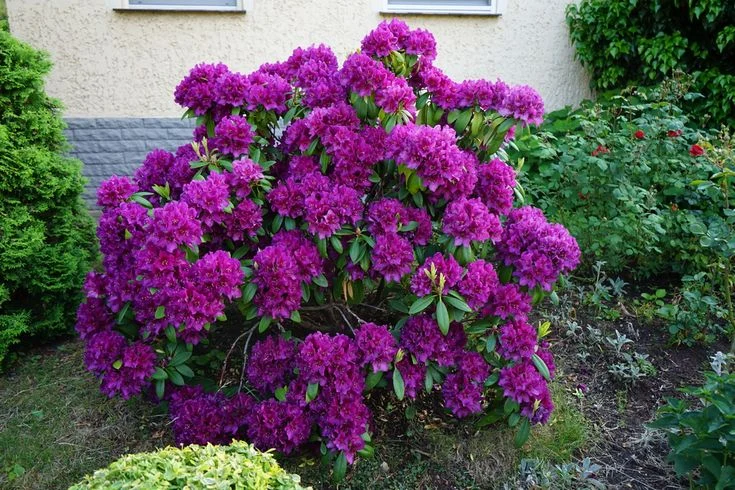 Timing is Everything