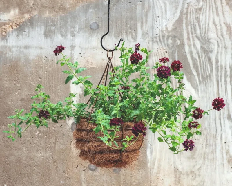 40 Unusual Hanging Basket Ideas That’ll Upgrade Your Entire Home