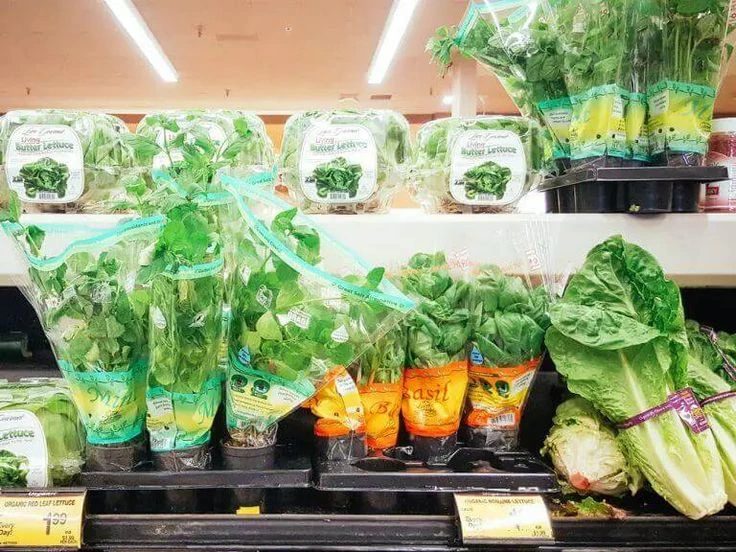 Why Grocery Store Herbs Fail Fast