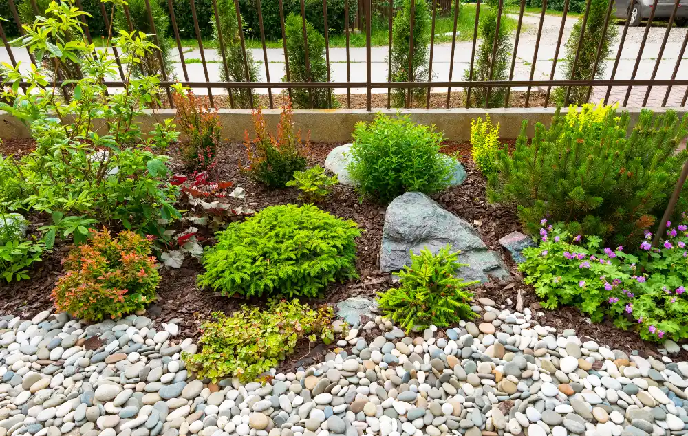 Why Rock Gardens Are Perfect for 2025?