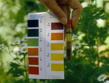 pH: The Foundation Factor