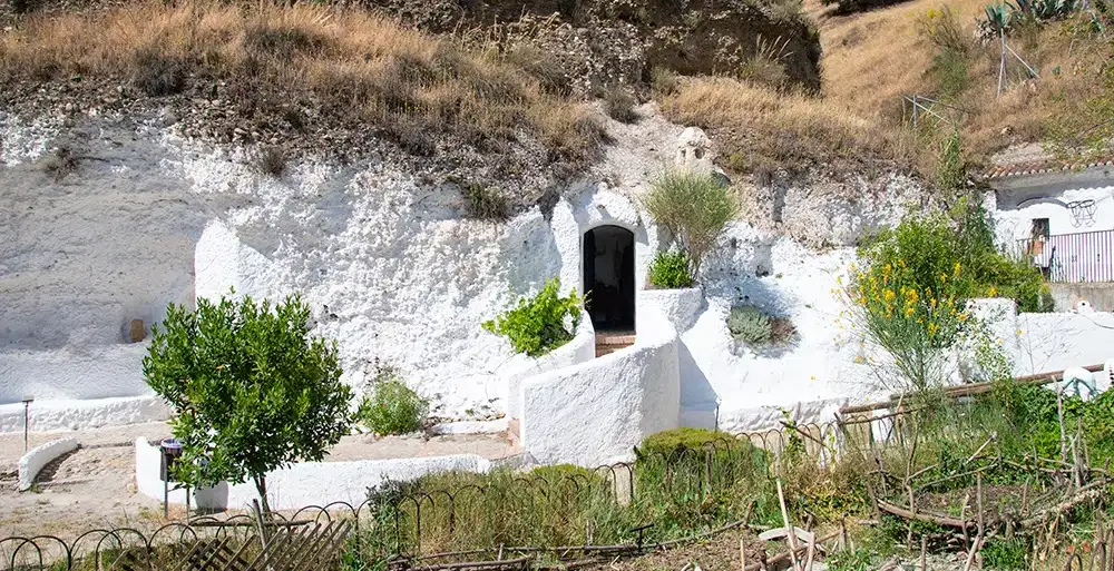  Henrique Amaya's Family Cave