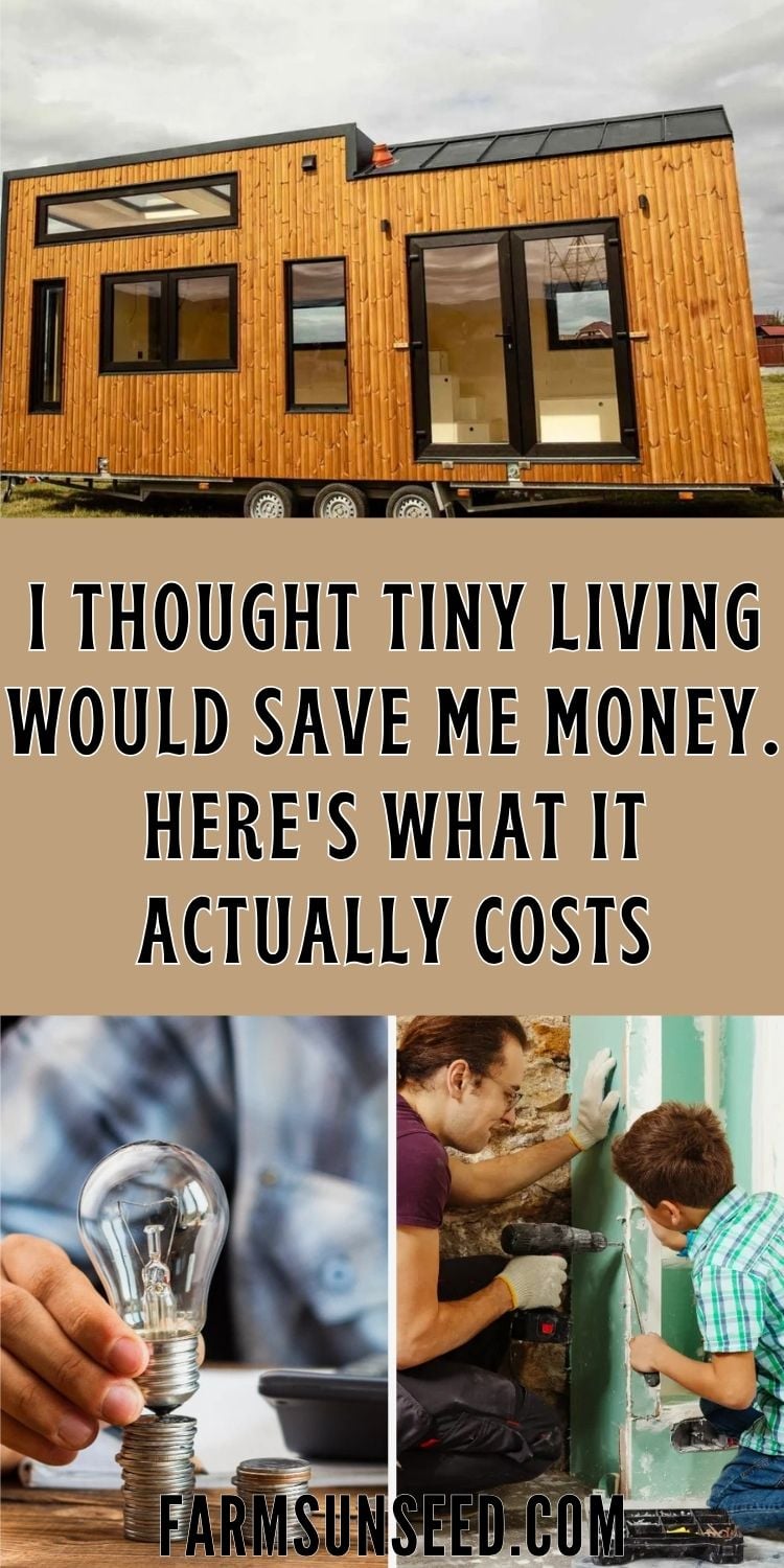 I-Thought-Tiny-Living-Would-Save-Me-Money.-Heres-What-It-Actually-Costs-2 I Thought Tiny Living Would Save Me Money. Here's What It Actually Costs