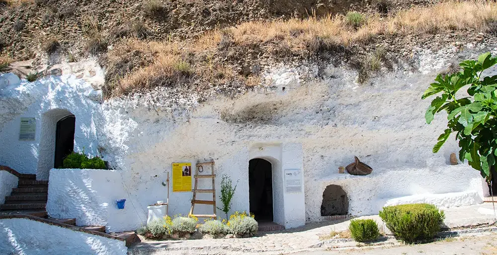 Multi-Generational Cave Families